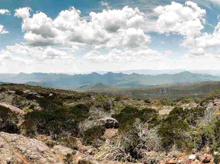 lefleuveencouleurs | Mount William: Hike to the summit of Mount William for panoramic views