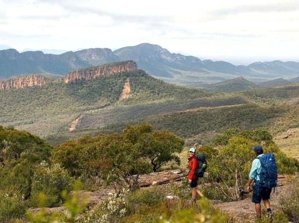 lefleuveencouleurs | Mount William: Hike to the summit of Mount William for panoramic views