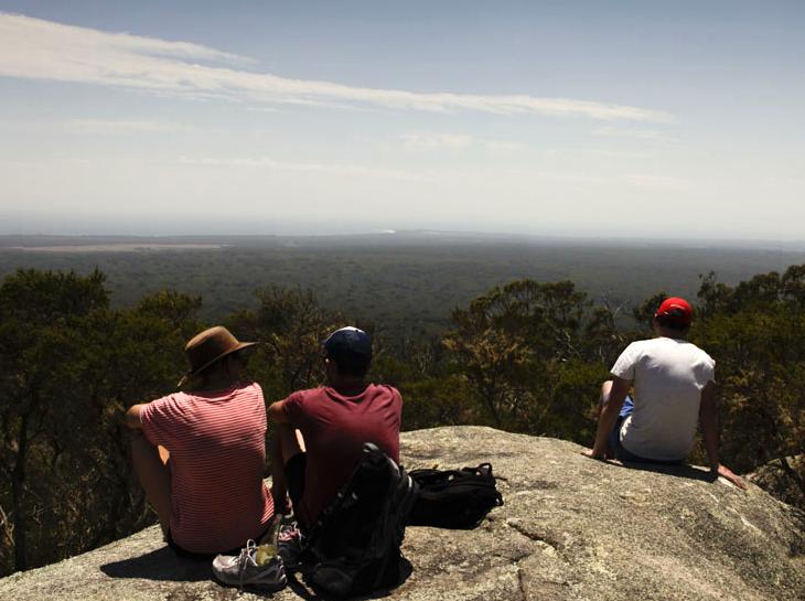 lefleuveencouleurs | Mount William: Hike to the summit of Mount William for panoramic views