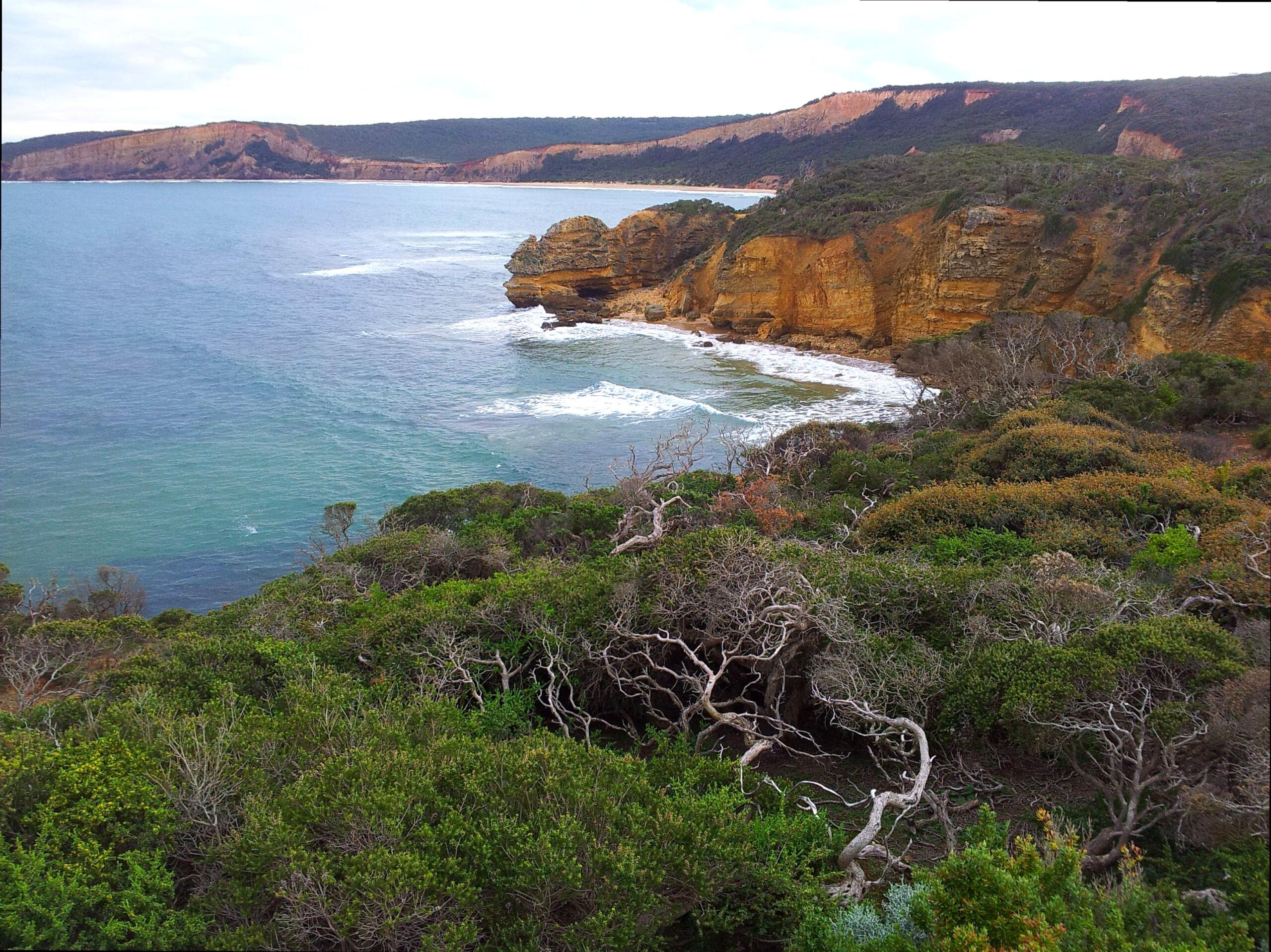 lefleuveencouleurs | Point Addis Marine National Park: Marine Conservation and Beauty