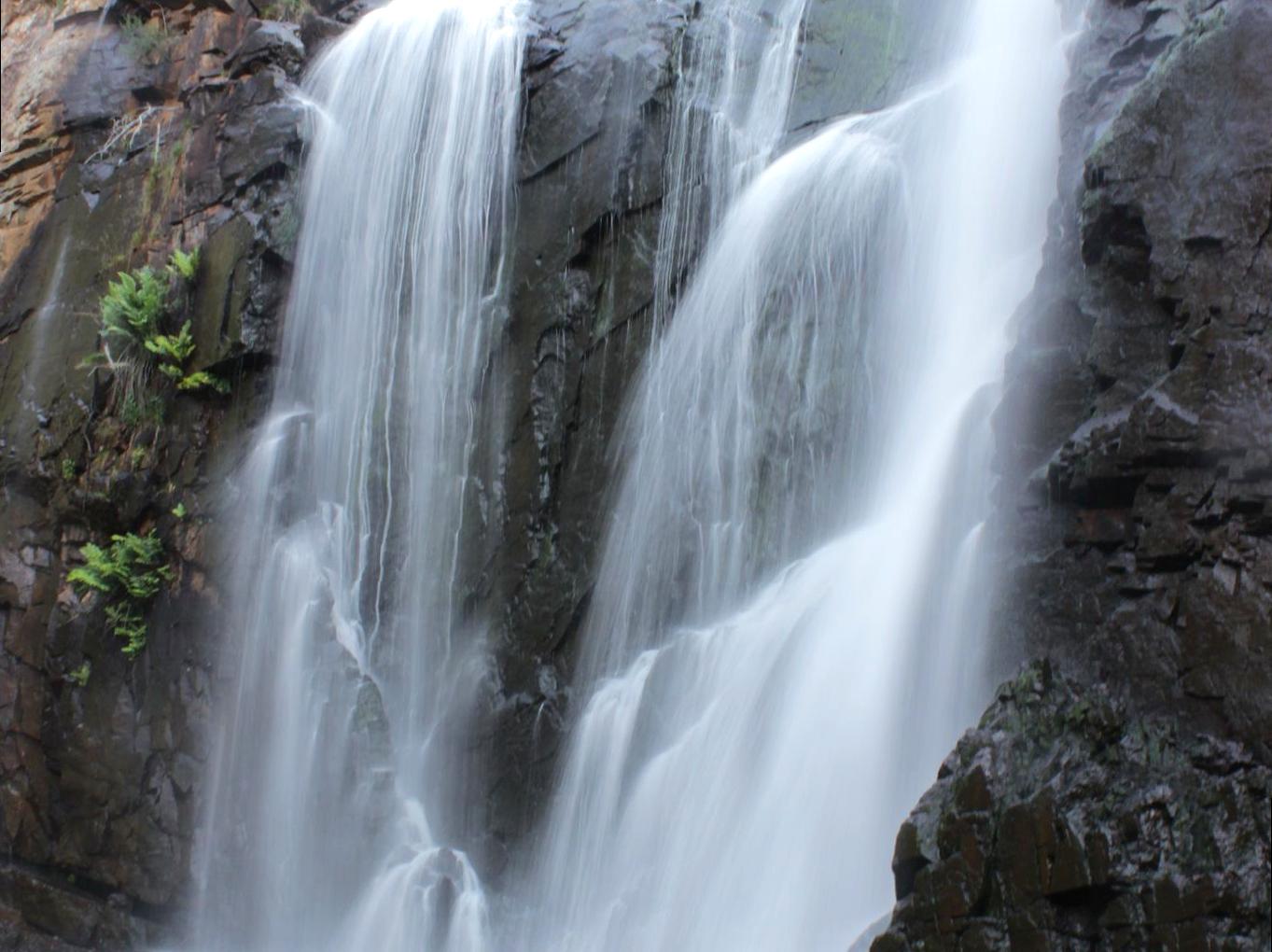 lefleuveencouleurs | Mackenzie Falls: Marvel at the beauty of Mackenzie Falls