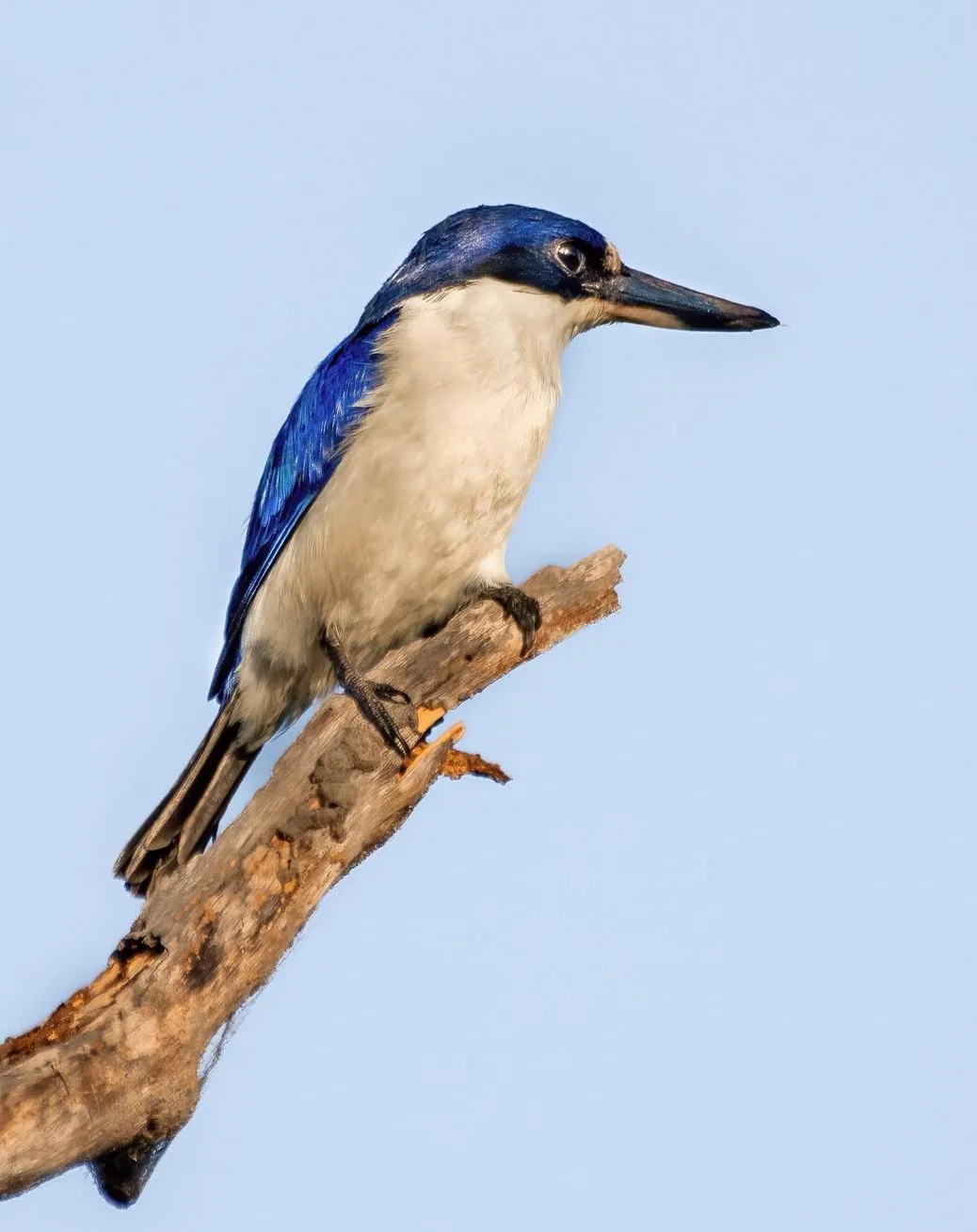 lefleuveencouleurs | How Big Are the Mamukala Wetlands?