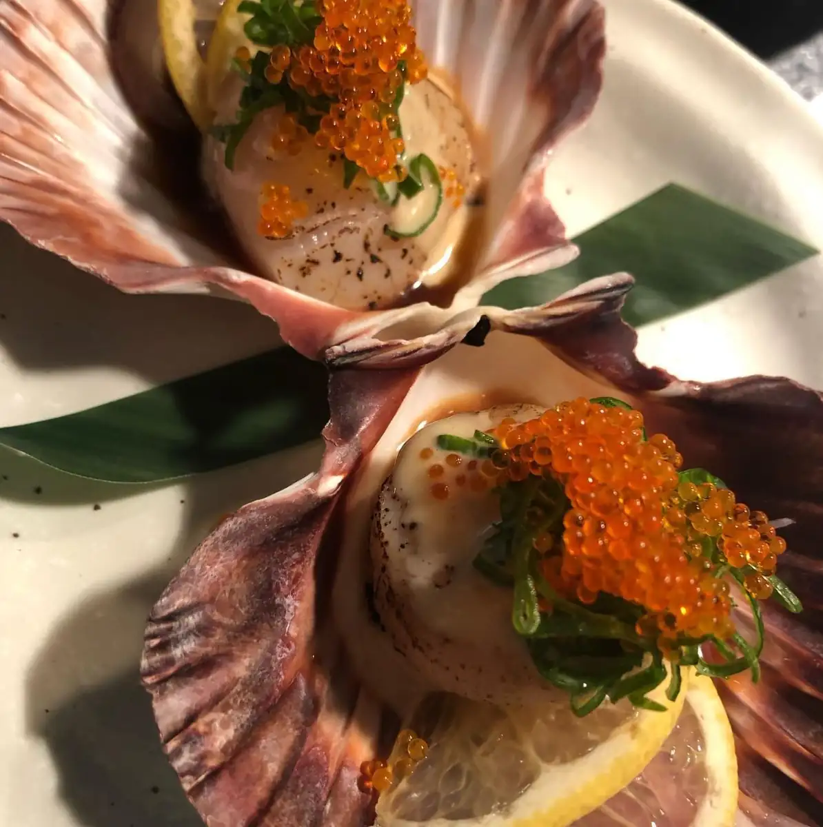 lefleuveencouleurs | Best Restaurants in Cairns